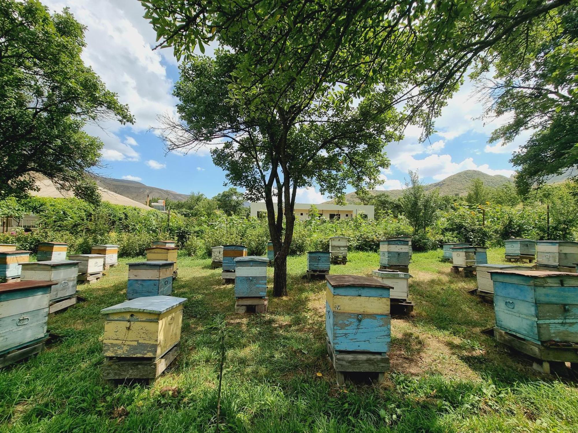 מלון Pia Bee House מראה חיצוני תמונה