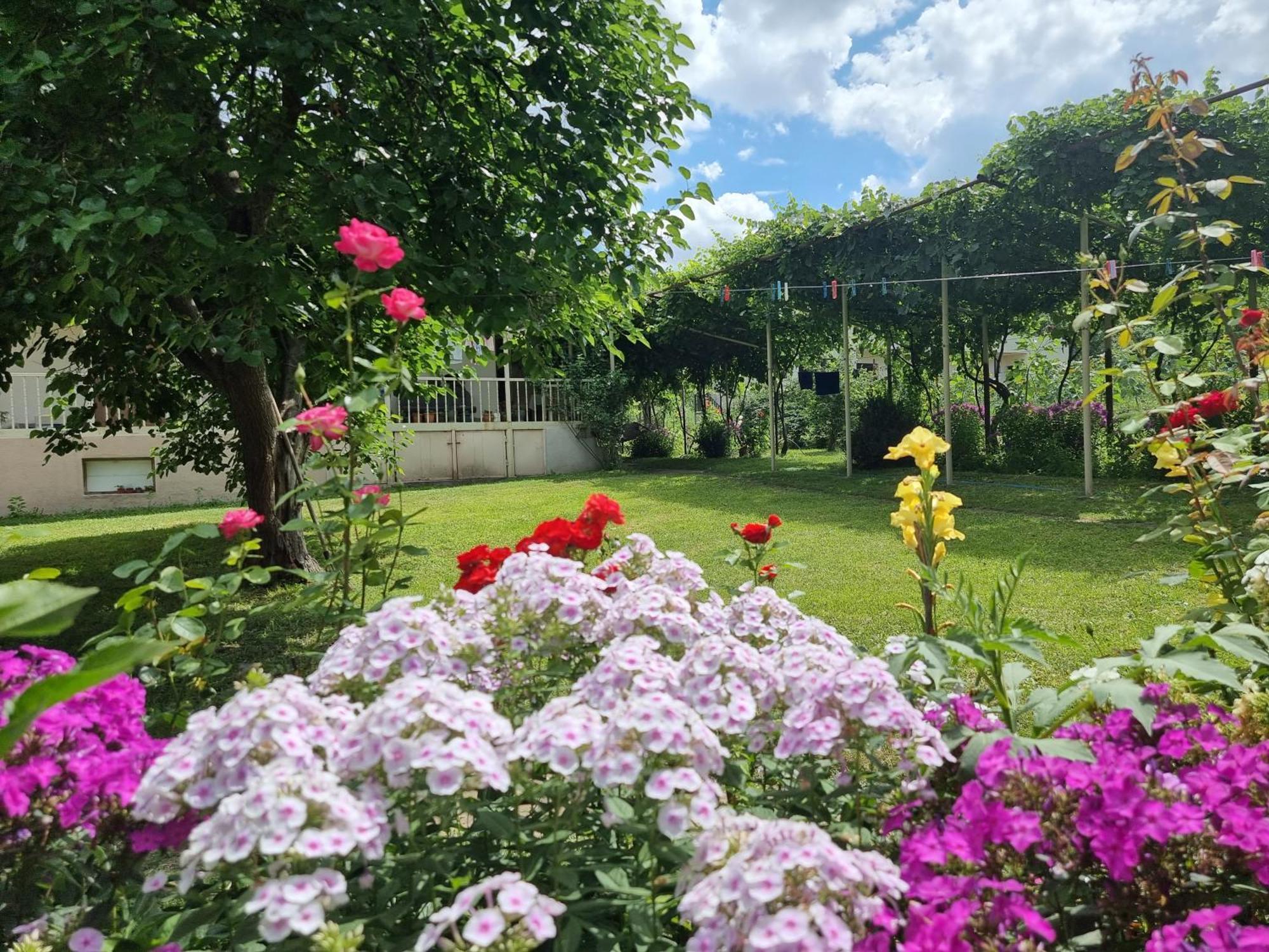 מלון Pia Bee House מראה חיצוני תמונה