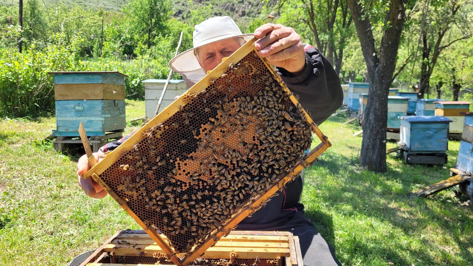מלון Pia Bee House מראה חיצוני תמונה